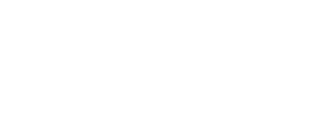 Fleek Logo